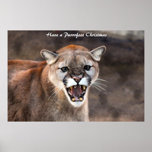 クリスマスを飾る ポスター (正面)