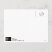 クリスマスアットクライドワーレンパーク シーズンポストカード (裏面)