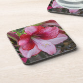 クリスマスアマリリスレッドホリデイフローラ コースター (左側)