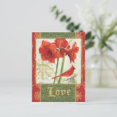 クリスマスアマリリス・ラブのホーム シーズンポストカード (スタンド正面)