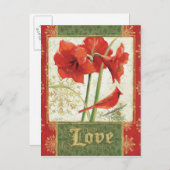 クリスマスアマリリス・ラブのホーム シーズンポストカード (正面/裏面)