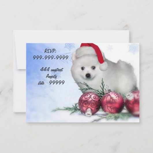 クリスマスアメリカのエスキモの子犬 招待状 (裏面)