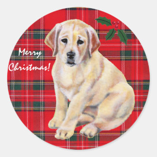クリスマスイエローラブラドール子犬タータンチェック ラウンドシール