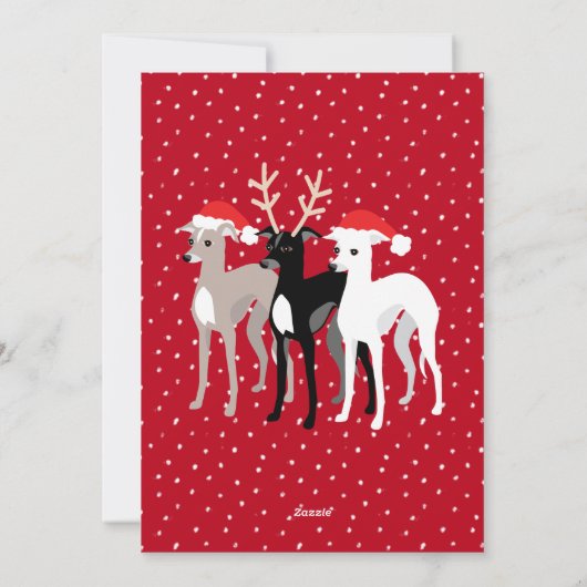 クリスマスイタリアングレイハウンズフラットホリデーカード シーズンカード (裏面)