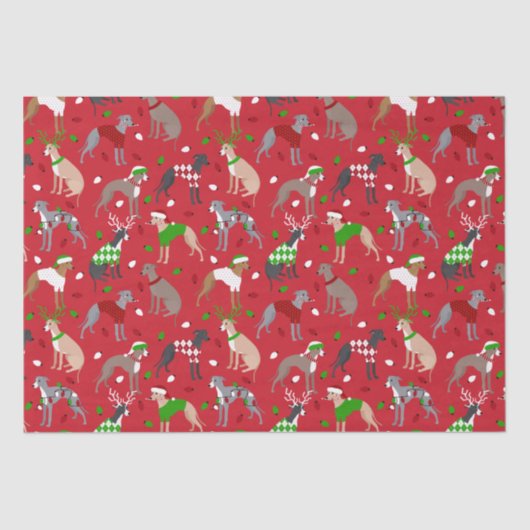 クリスマスイタリアングレイハウンドッグティッシュペーパー 薄葉紙 (正面)