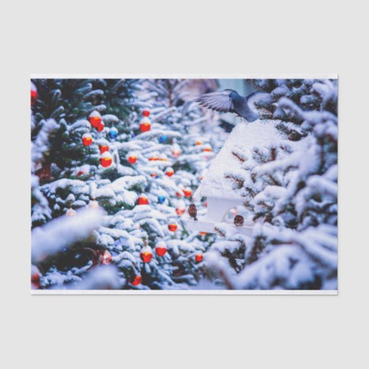 クリスマスイドル美しい 薄葉紙 (正面)