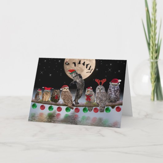 クリスマスイブのフクロウとのアシオ踊り シーズンカード (正面)