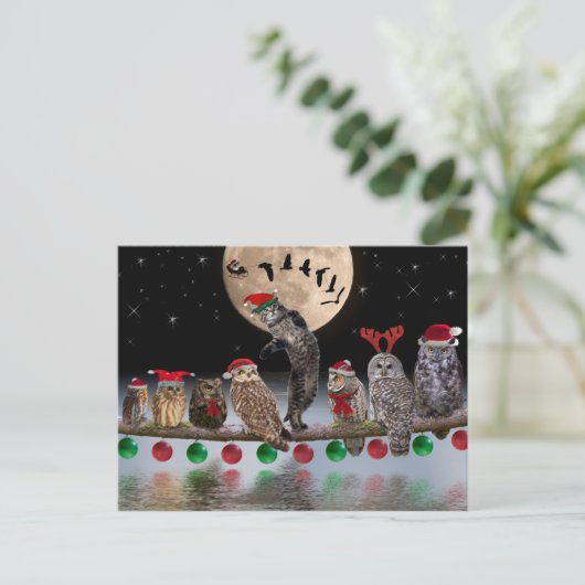 クリスマスイブのフクロウとのASIOの踊り シーズンポストカード (スタンド正面)