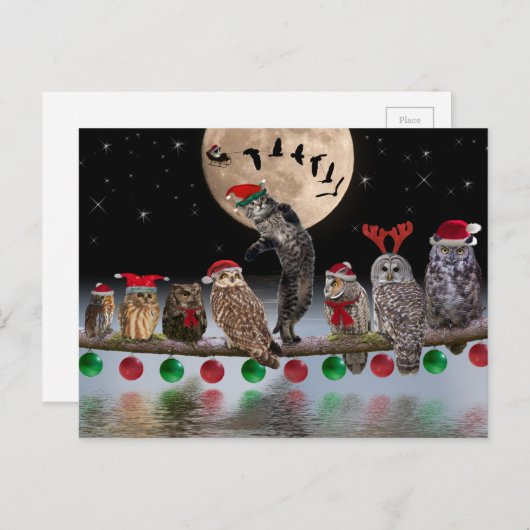 クリスマスイブのフクロウとのASIOの踊り シーズンポストカード (正面/裏面)