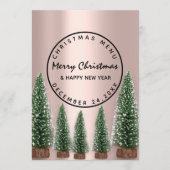 クリスマスイブホリデーウィンターメニューバラグリーン メニュー (正面)