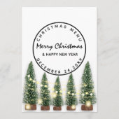 クリスマスイブホリデーウィンターメニューライトグリーンウィット メニュー (正面)