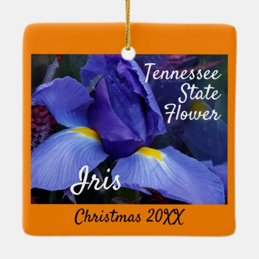 クリスマスインテネシー州フラワーアイリス セラミックオーナメント (裏面)