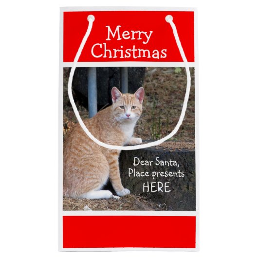 クリスマスウィッシュズオレンジ虎猫抱き枕 スモールペーパーバッグ (裏面)