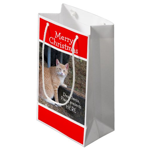 クリスマスウィッシュズオレンジ虎猫抱き枕 スモールペーパーバッグ (正面アングル)