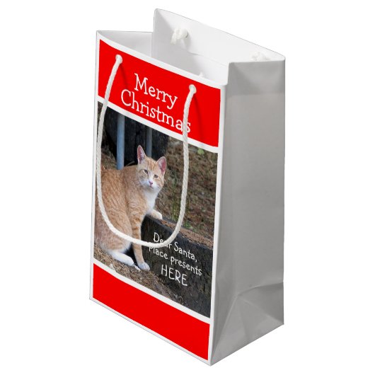 クリスマスウィッシュズオレンジ虎猫抱き枕 スモールペーパーバッグ (裏面アングル)