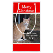 クリスマスウィッシュズオレンジ虎猫抱き枕 スモールペーパーバッグ (正面)