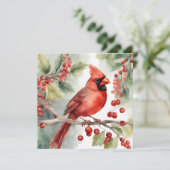 クリスマスウォーターカラーレッド(鳥)ショウジョウコウカンチョウとベリー シーズンカード (スタンド正面)