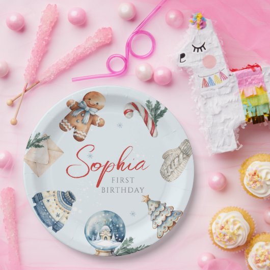 クリスマスウォーターカラー冬の最初の誕生日パーティー ペーパープレート (パーティー)