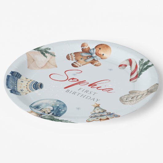 クリスマスウォーターカラー冬の最初の誕生日パーティー ペーパープレート (アングル)