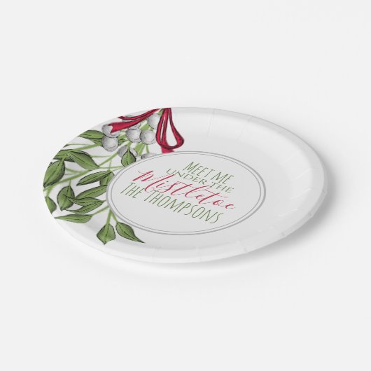 クリスマスウォーターモダンカラー素朴ミストレ ペーパープレート (アングル)