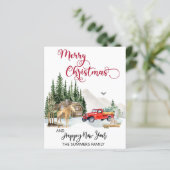 クリスマスウォーター色の冬のトラックムース予算 (スタンド正面)