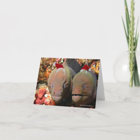 クリスマスウナギ シーズンカード (正面)