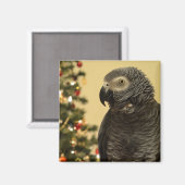 クリスマスオウム磁石 マグネット (正面/裏面)