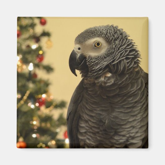 クリスマスオウム磁石 マグネット (正面)