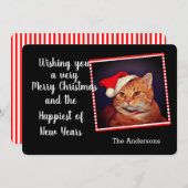 クリスマスオレンジタビーキャット シーズンカード (正面/裏面)