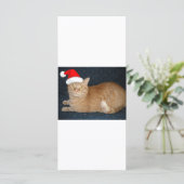 クリスマスオレンジタブビーキャット (スタンド正面)