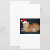 クリスマスオレンジタブビーキャット (正面/裏面)