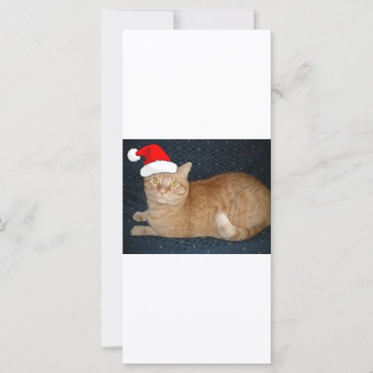 クリスマスオレンジタブビーキャット (正面)