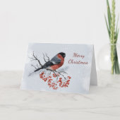 クリスマスオレンジブルフィンチの果実の水色 シーズンカード (正面)