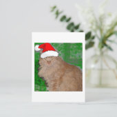 クリスマスオレンジ虎猫キティキャット シーズンポストカード (スタンド正面)