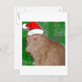クリスマスオレンジ虎猫キティキャット シーズンポストカード (正面/裏面)