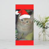クリスマスオレンジ虎猫子猫 (スタンド正面)