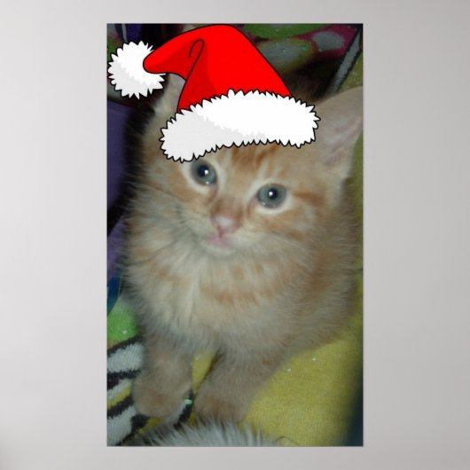 クリスマスオレンジ虎猫子猫 ポスター (正面)