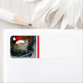 クリスマスオレンジ虎猫子猫 ラベル (インサイチュ)