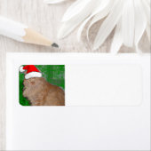 クリスマスオレンジ虎猫子猫 ラベル (インサイチュ)