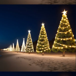 クリスマスオンビーチブランケット スローブランケット