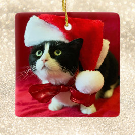 クリスマスオーナメントがタキシード猫を桃に セラミックオーナメント