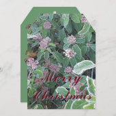 クリスマスオーナメントカード (正面/裏面)