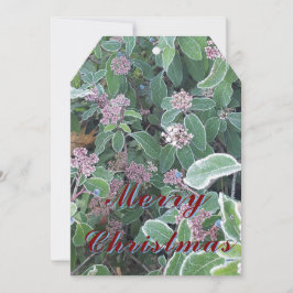 クリスマスオーナメントカード