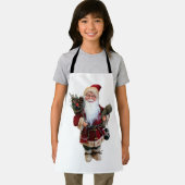 クリスマスオーナメントサンタクロース人形 エプロン (インサイチュ)