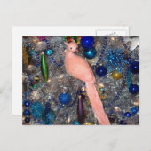 クリスマスオーナメントピーチピーコック シーズンポストカード (正面/裏面)