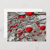 クリスマスオーナメント赤いバウブルツリー雪の枝 シーズンポストカード (正面/裏面)