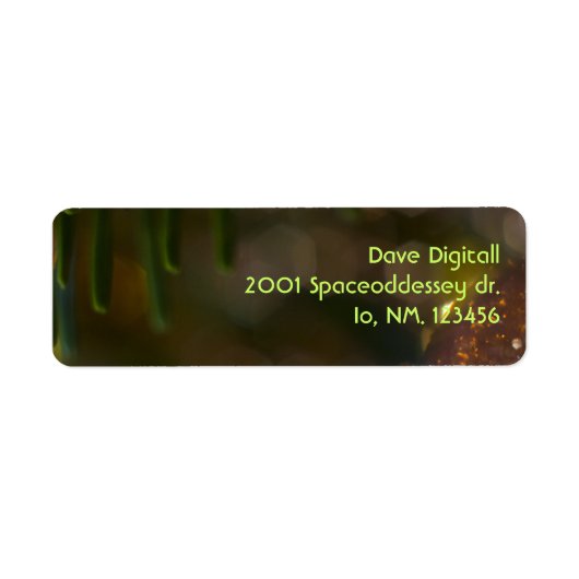 クリスマスオーナメント7 ラベル (正面)