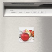 クリスマスオーナメント9 マグネット (インサイチュ (食洗機))