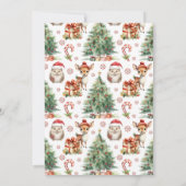 クリスマスオーネダーランドの最初の誕生日の招待状 招待状 (裏面)