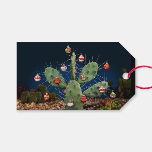 クリスマスカクタスのボール ギフトタグ (正面(横))